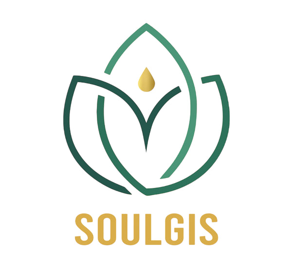 SOULGIS